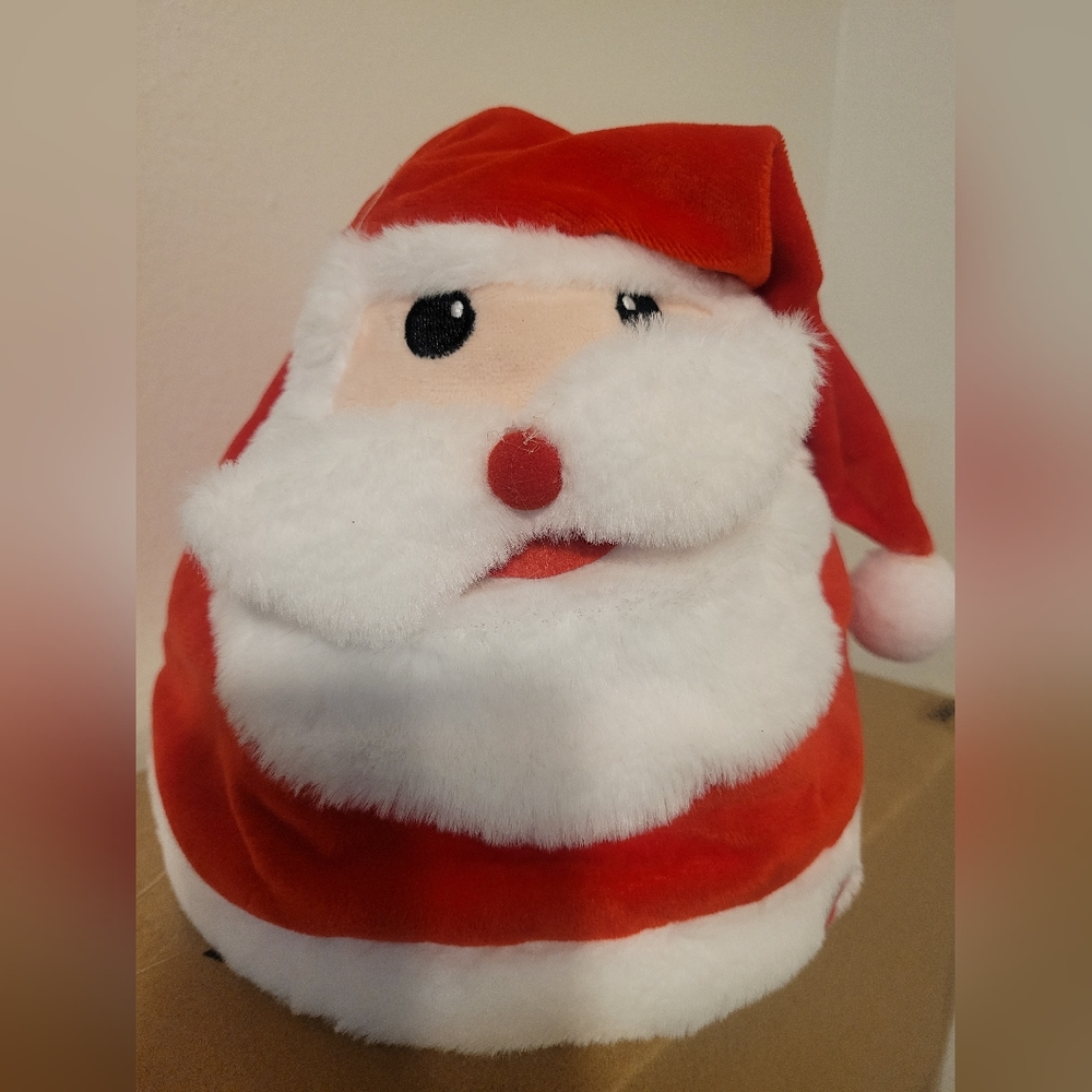 Christmas hat